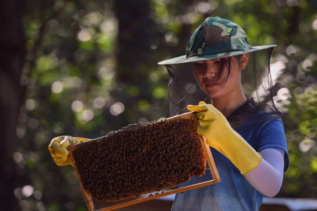 奋斗百年路启航新征程同心奔小康真厉害90后女大学生创业卖蜂蜜带领