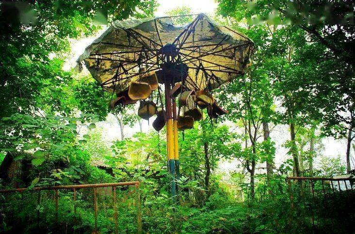 探寻资阳遗迹之曾经的青年林