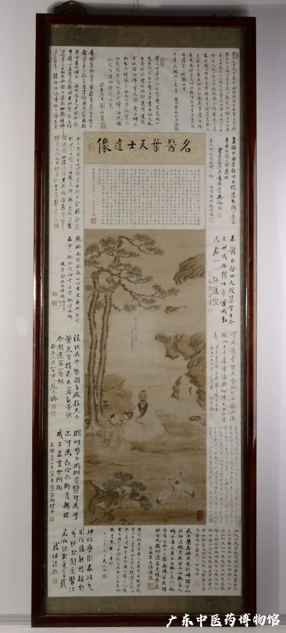 你好 广东中医药博物馆 医学 你好 广东中医药博物馆 医学