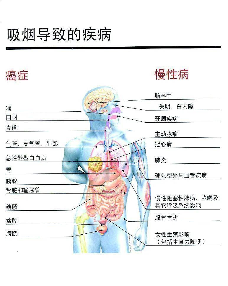 二,烟草的危害一,烟草的成分烟草已成为严重影响公众健康的公共卫生