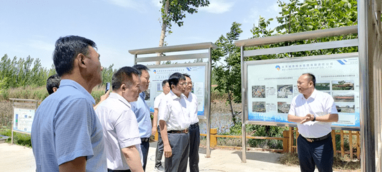 现场调研府河河口湿地水质净化工程现场核查保定市清苑区信访案件调研