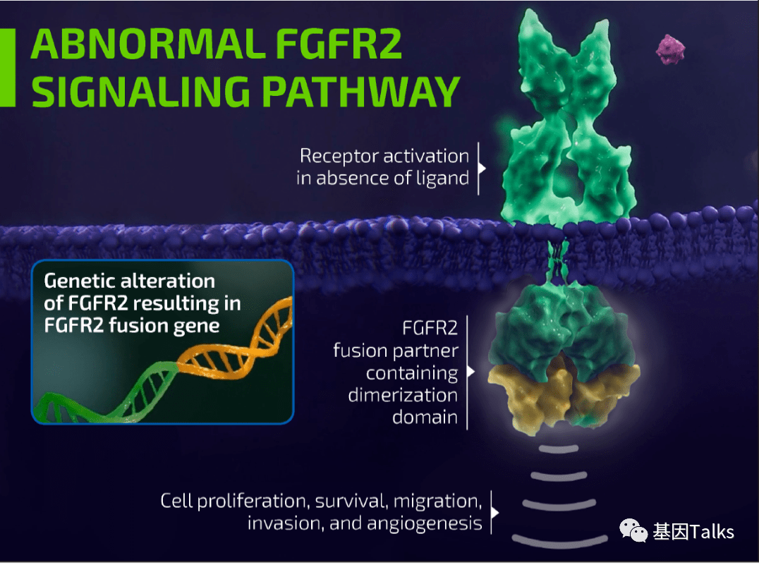 胆管癌丨FDA加速批准FGFR抑制剂『infigratinib』上市，F1CDx成伴随诊断！_检测