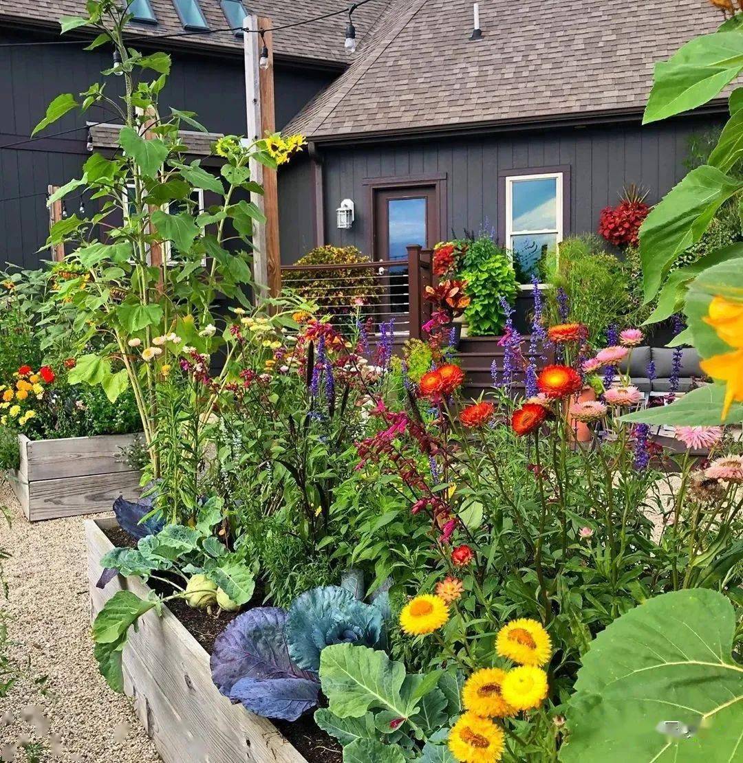 在院子里种花写字画画一生足矣