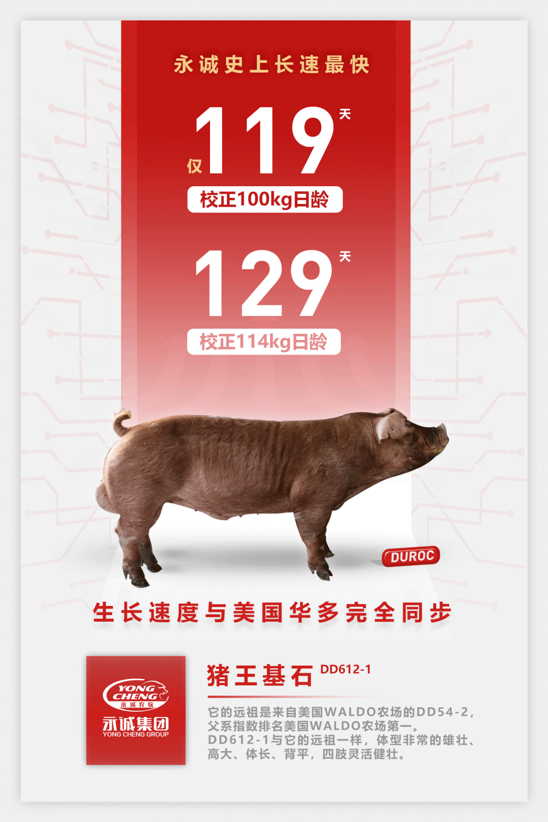 e3e96d8622cf49d086e80fef7a5b0007.png