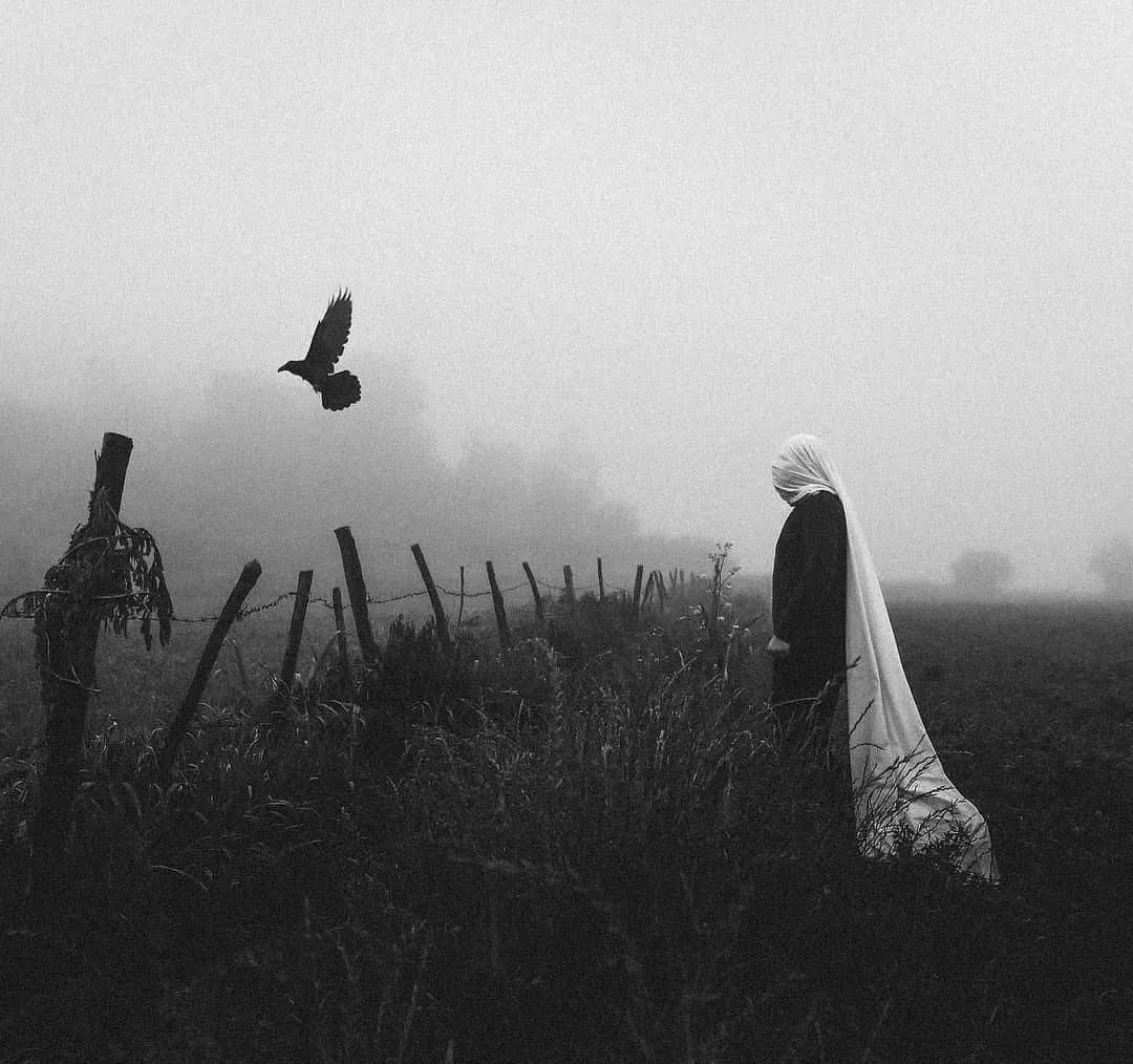 [摄影 ] 孤独是生活常态,平躺只是临时的逃避_艺术