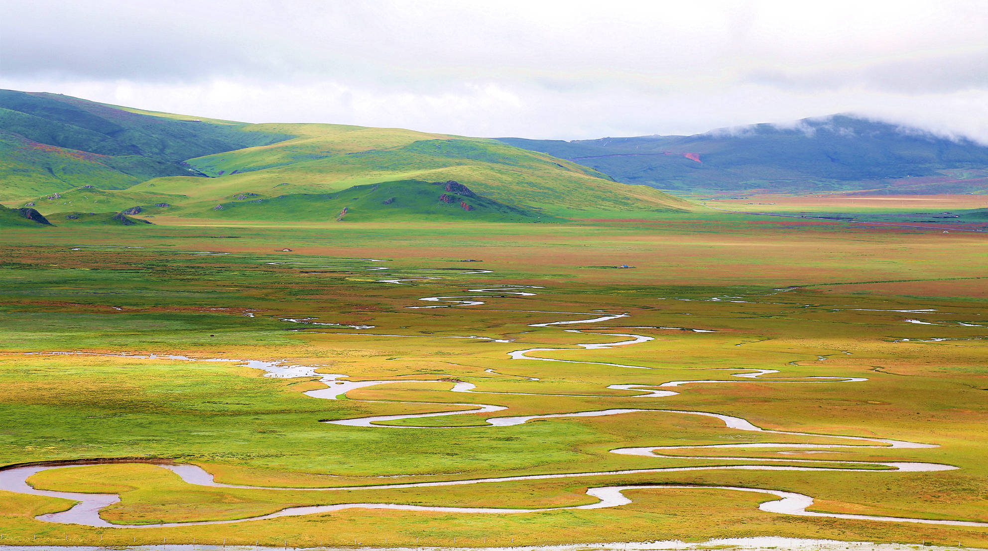 甘肃尕海则岔国家级自然保护区供图这刚好避开了候鸟在尕海的季节