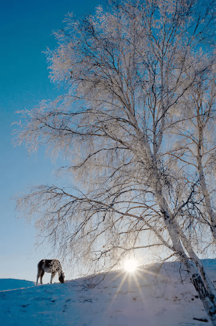 19cf63f307d54c41ba6591eb297cde75.png
