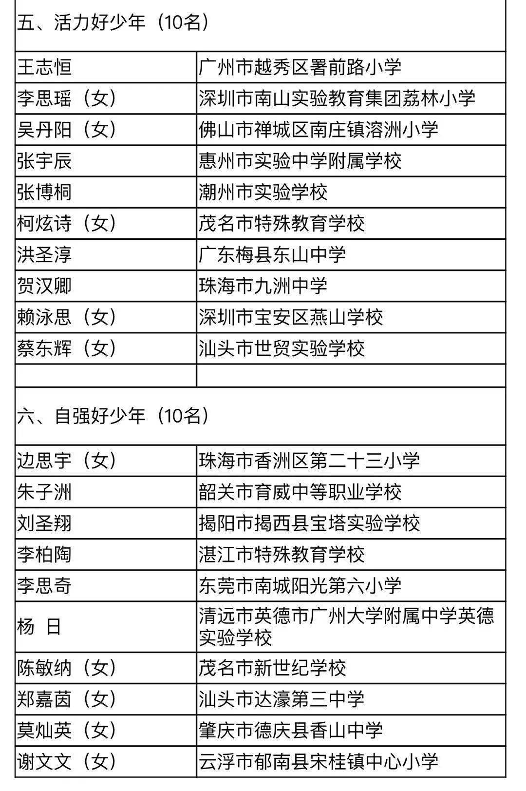 最美南粤少年申报表图片