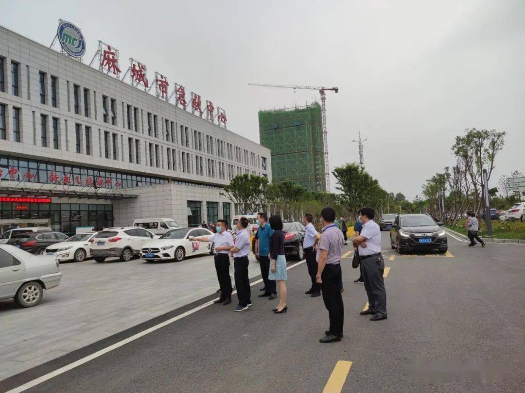 黄冈市卫健委党委书记主任廖保安来麻城调研