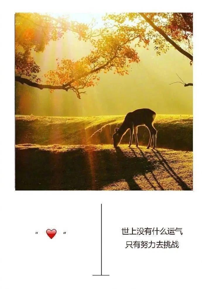 "慢慢变好,才是给自己最好的礼物.