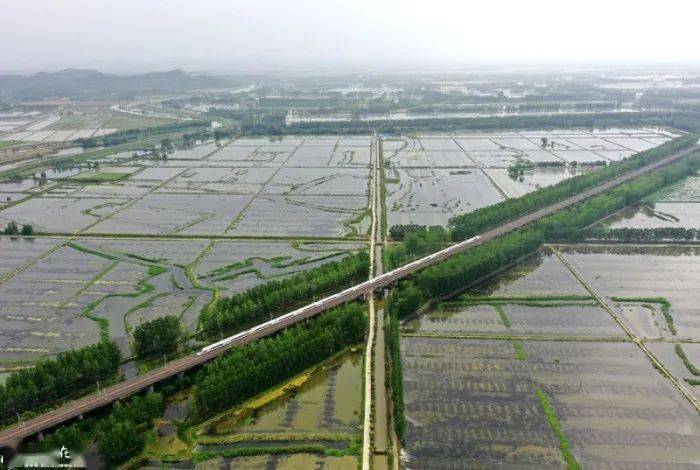 俯瞰全椒县十字镇陈浅村安徽省稻渔综合种养"百千万"工程万亩示范区.