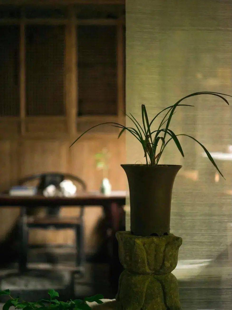 静坐将茶试,闲适把书翻