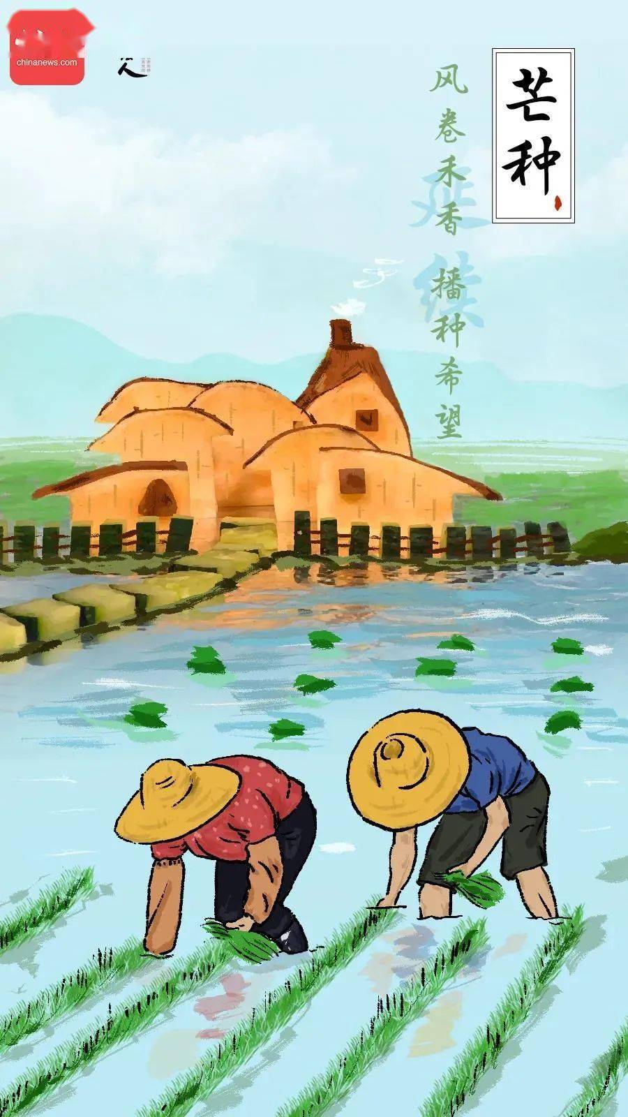 今日芒种 | 忙于耕耘,静待收获_节气