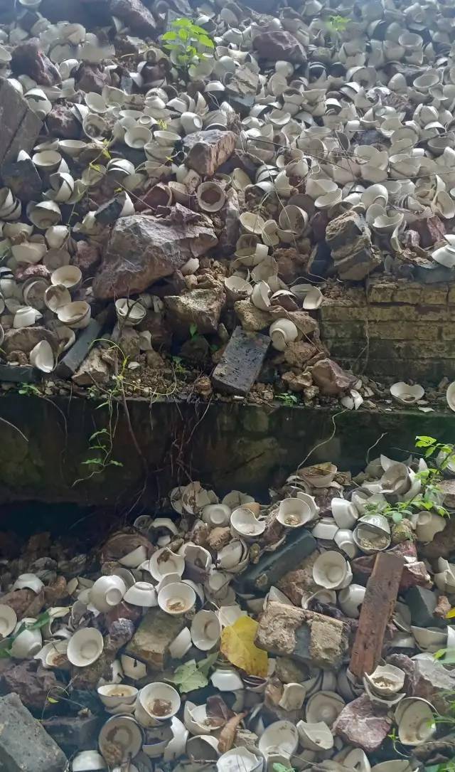 宁远瓷厂废墟堆积的瓷器残片_姜国