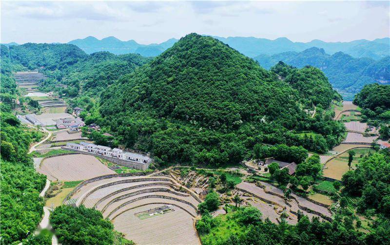 近期,在湖北省襄陽市保康縣海拔1300米以上的歇馬鎮,馬良鎮等高山鄉鎮