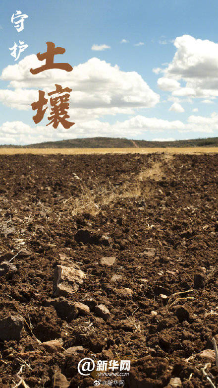 守护|守护是给大自然最长情的告白