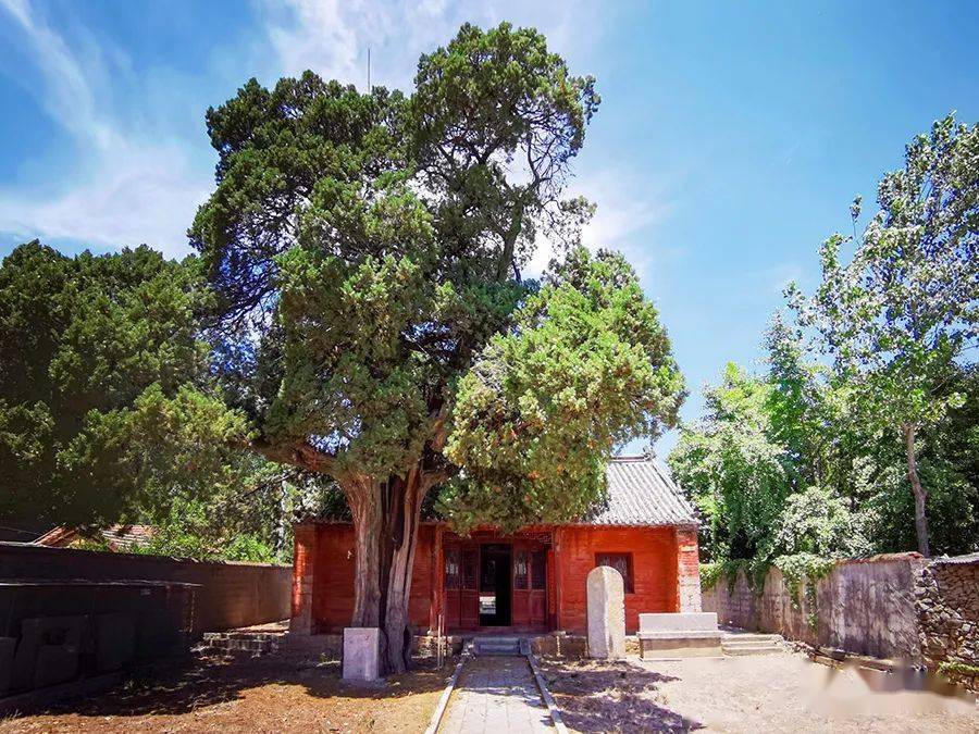 【乡村振兴】让古老文化重焕夺目光彩——符离大道曹村镇段景区的山河