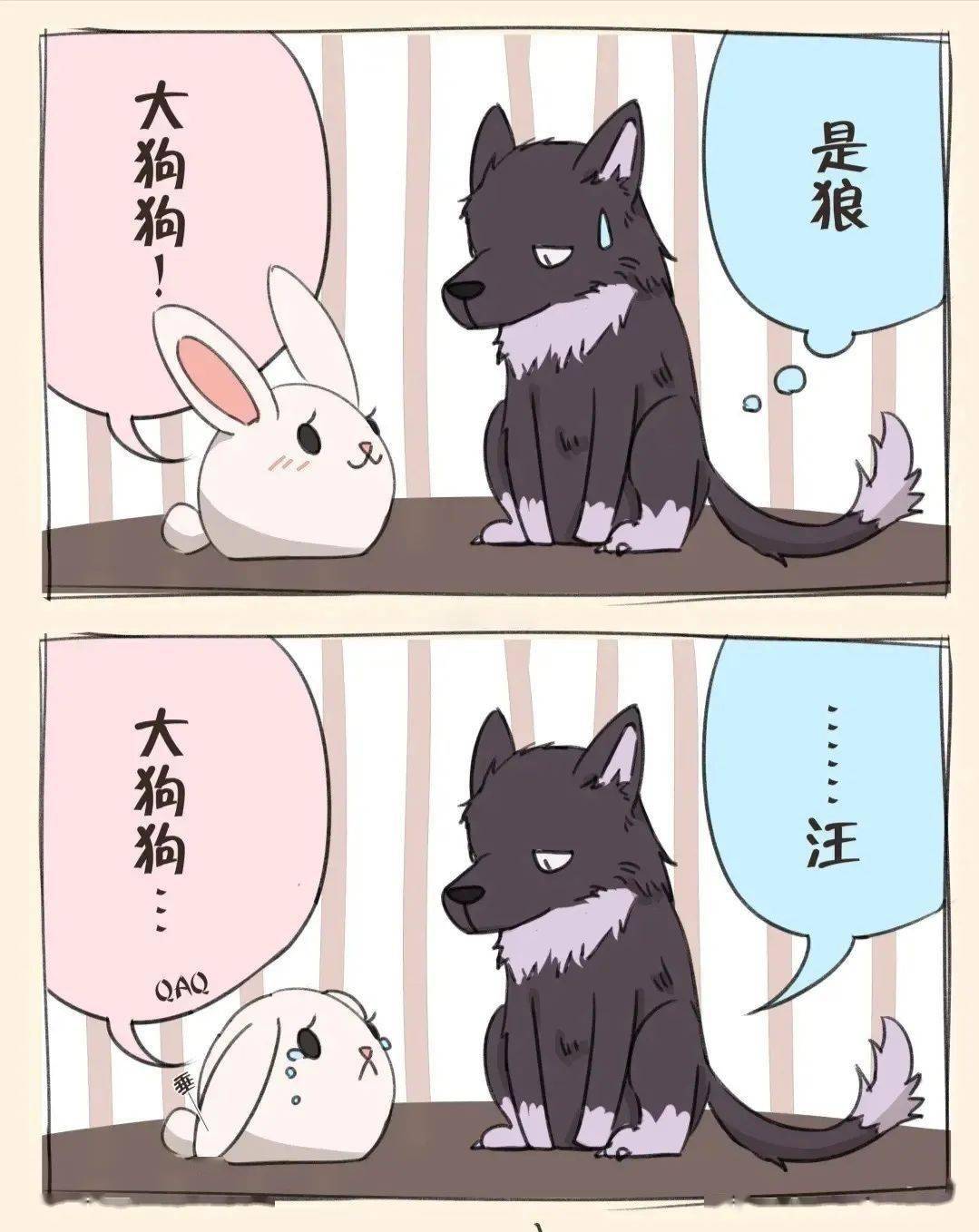 从古早言情到当代爽剧爱特到底有多上头