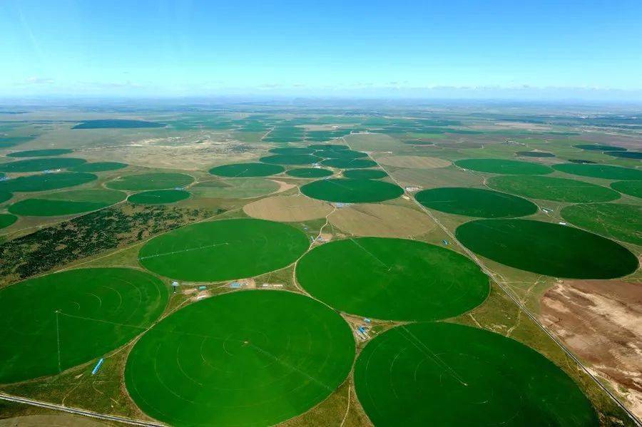 两山理论在草原沙化区的新实践阿鲁科尔沁旗沙地苜蓿产业释放生态效益