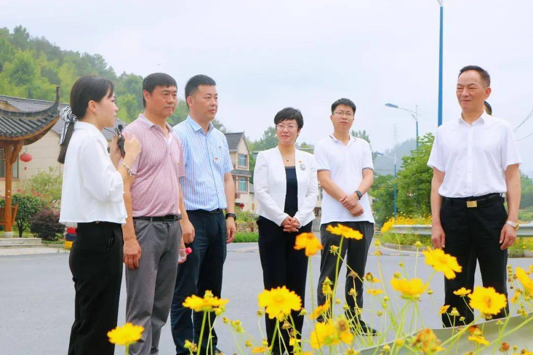 杭州市党史学习教育第三巡回指导组来我县指导_分水镇