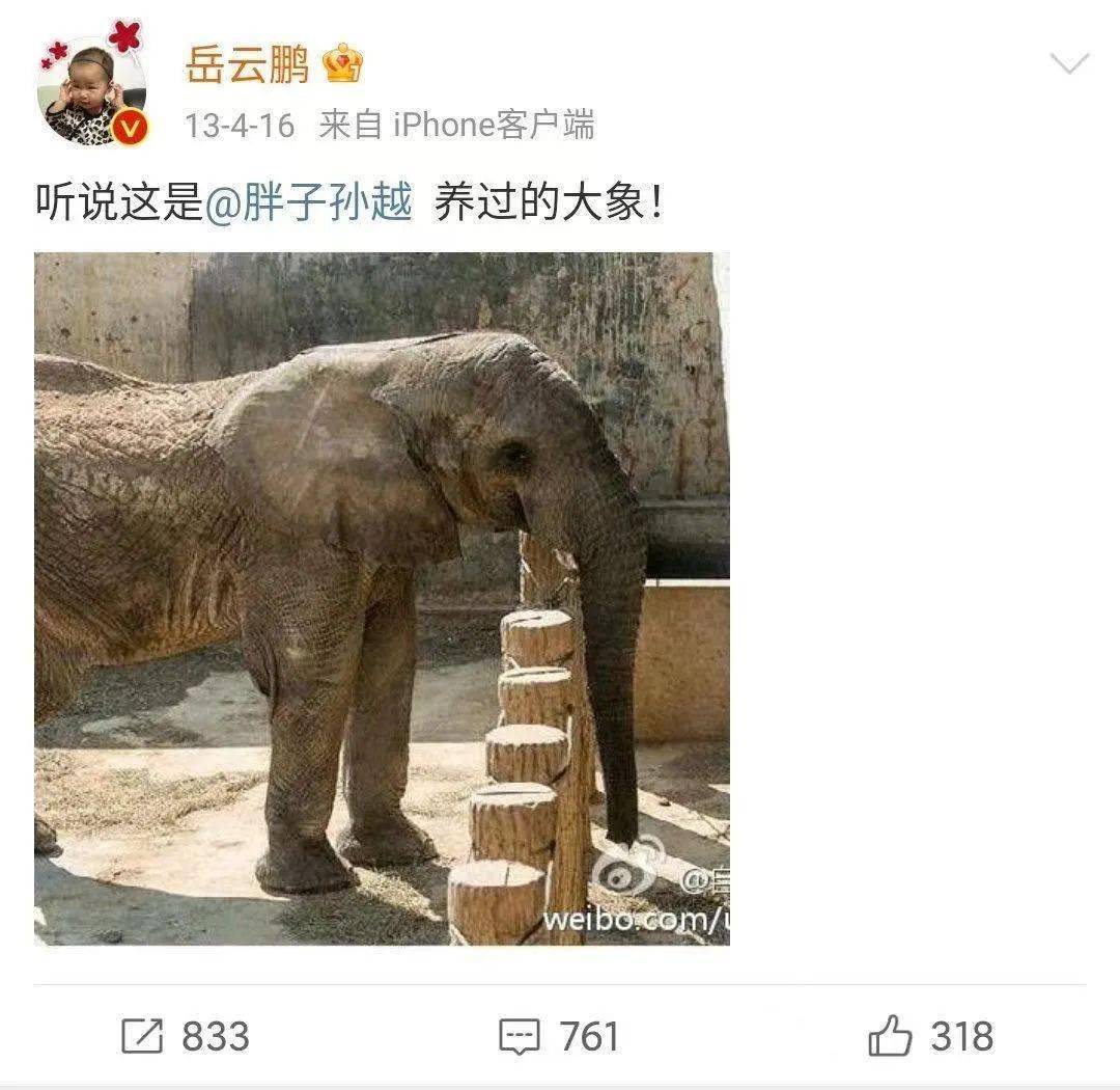 孙越养大象图片