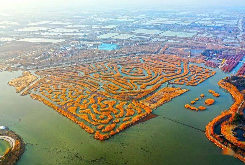 爱在水天一色里:盐城大纵湖旅游景区