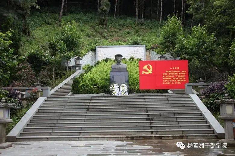 【我和我的党支部】青山里的守望者,他把绿意洒满中国_杨善洲