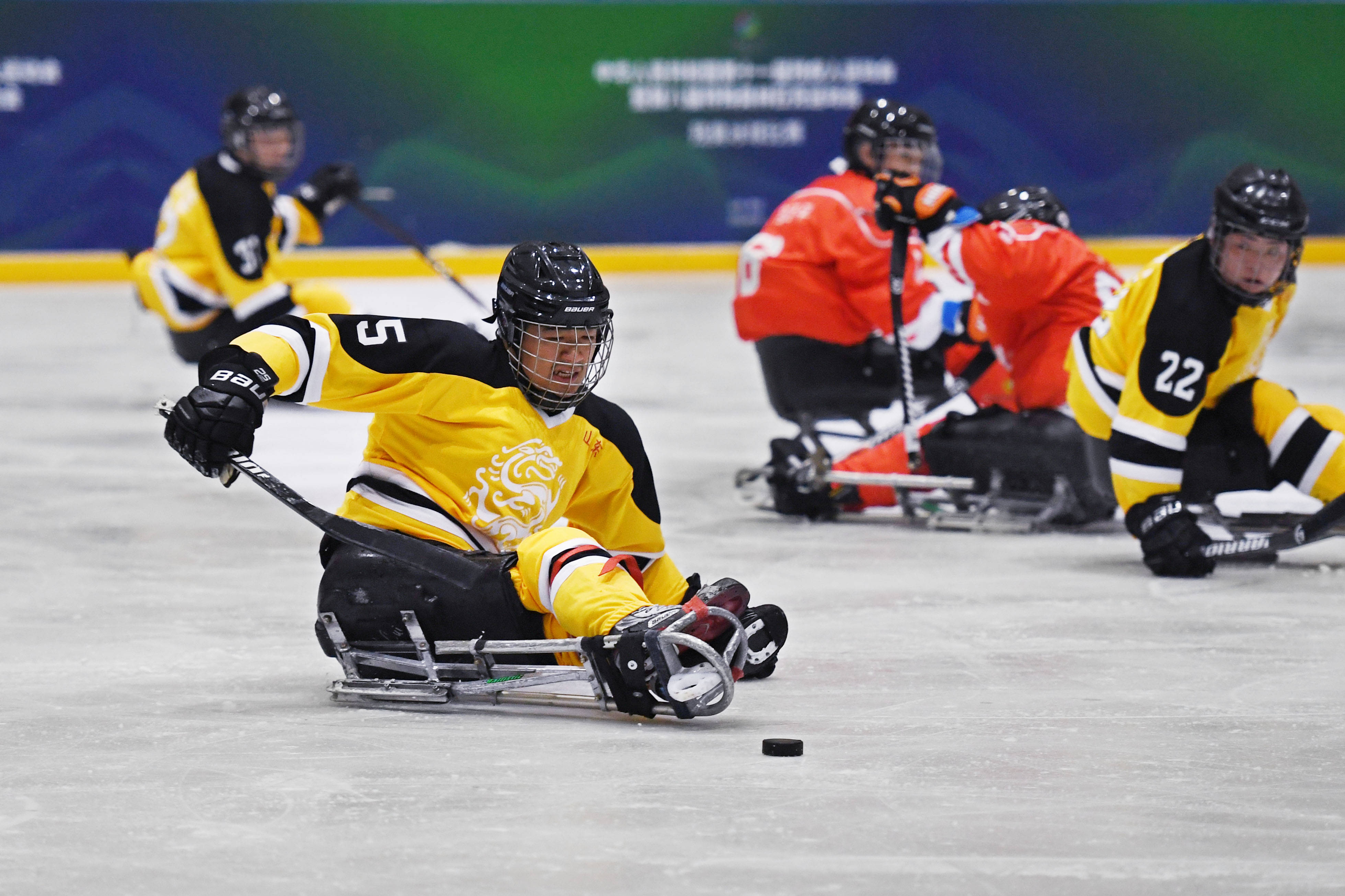 冰球全国残运会山东胜北京