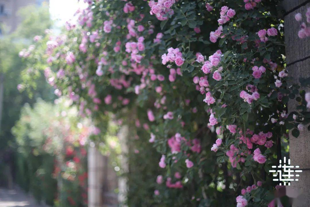 怎么查小区的规模 401b68538e874ada97fb354b6d0c3652.jpeg