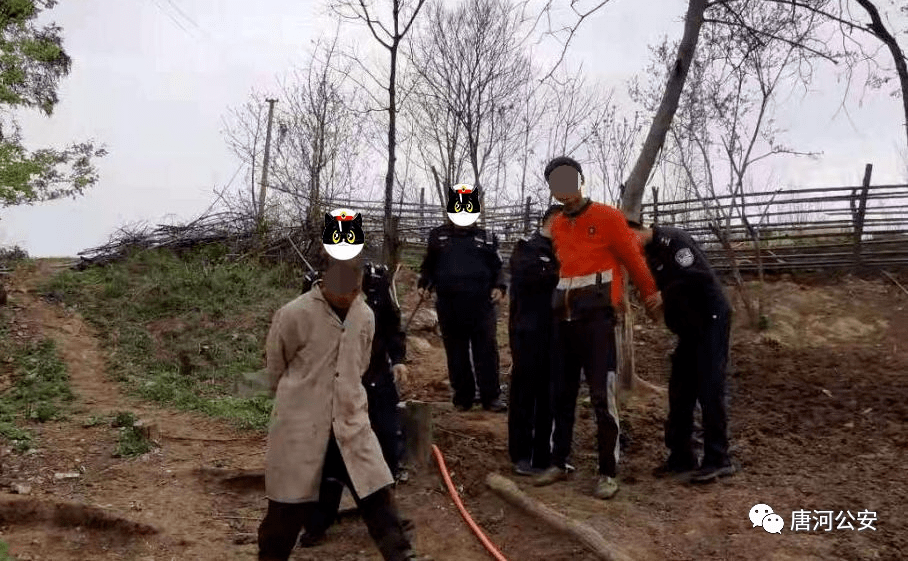 【唐河城事】6月6日唐河发生的事 |湖阳某父子养10条狼狗,竟有不可告