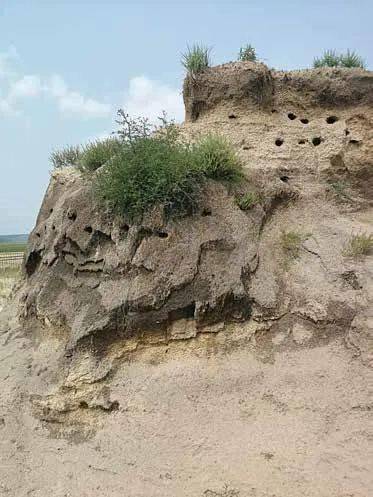 67内蒙东部考古遗址考察记