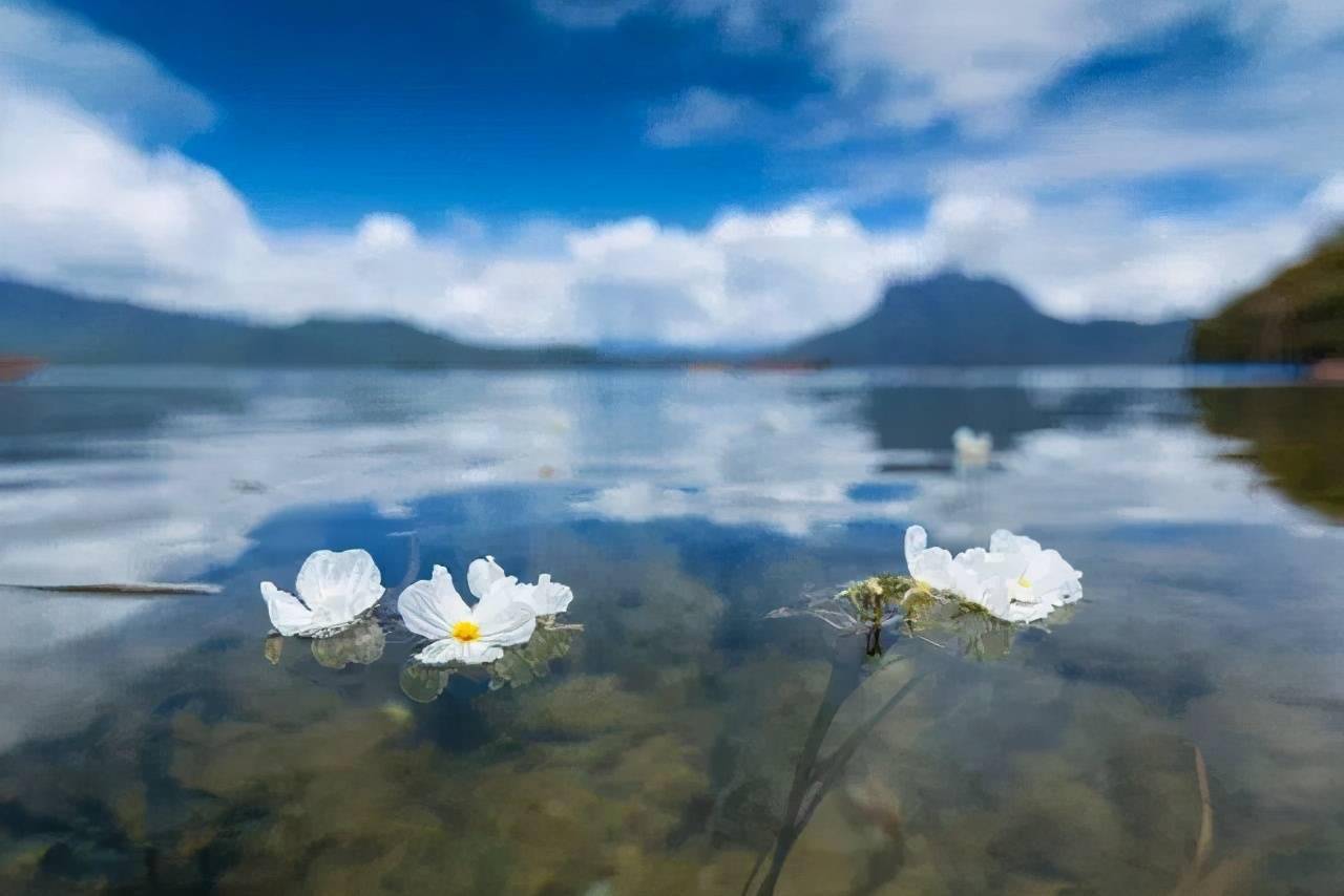 夏日的瀘沽湖,就愛你的