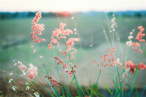 083f5b24ca954fcfad99a98bf9007038.png