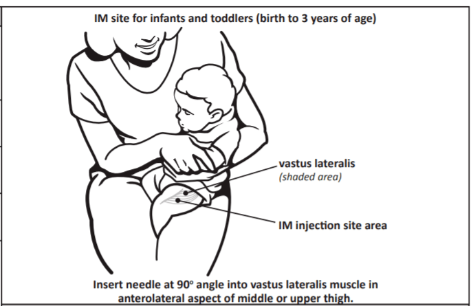 婴幼儿肌肉注射定位图图片