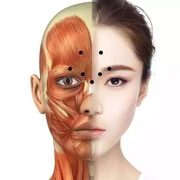 各部位注射肉毒素的安全剂量是多少