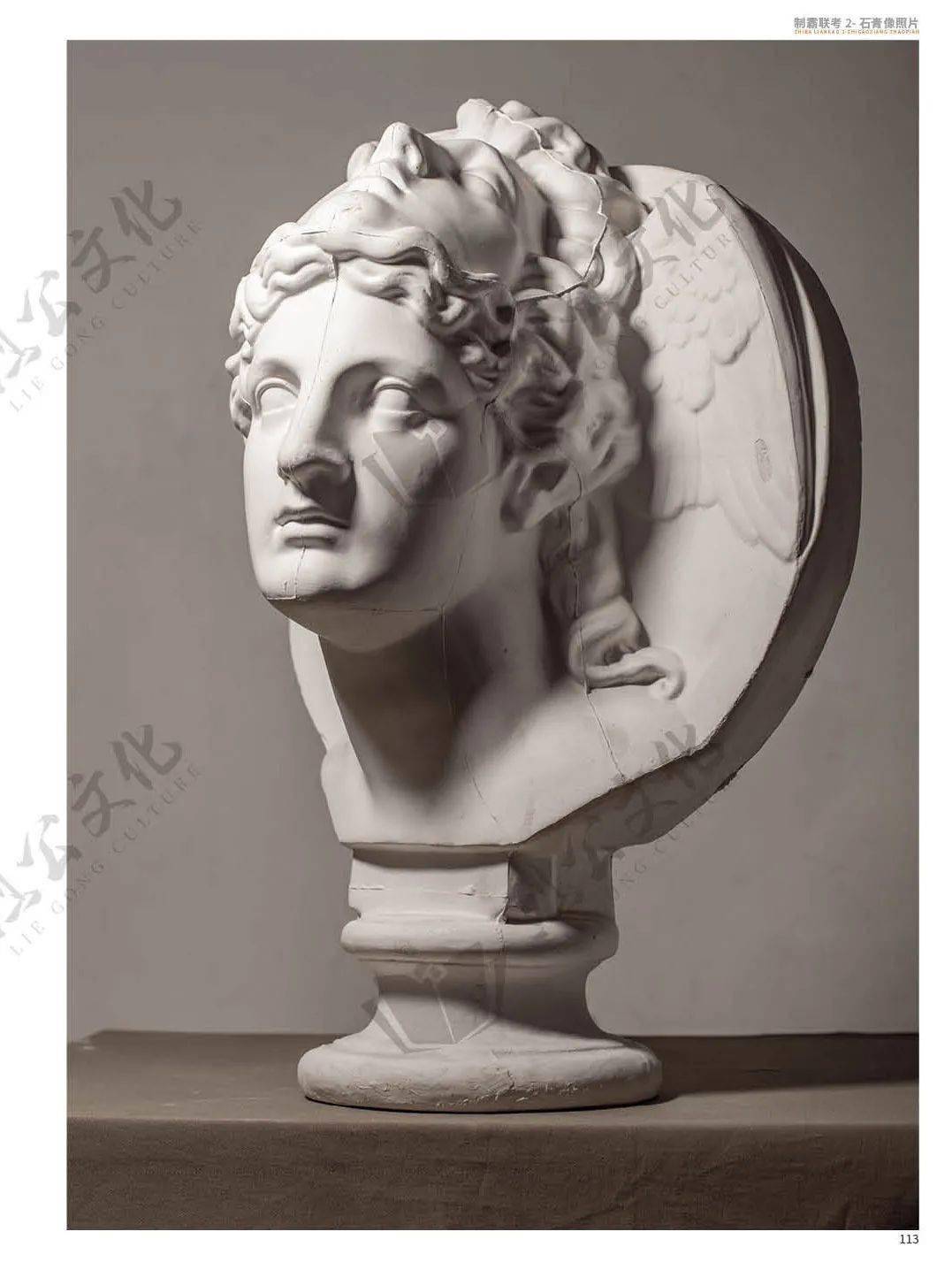 制霸联考2石膏像照片一本美院级别的石膏像照片形象众多类型丰富型体