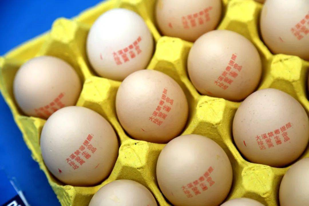 大溪:鸡蛋上印标语 趣味引领全民禁毒