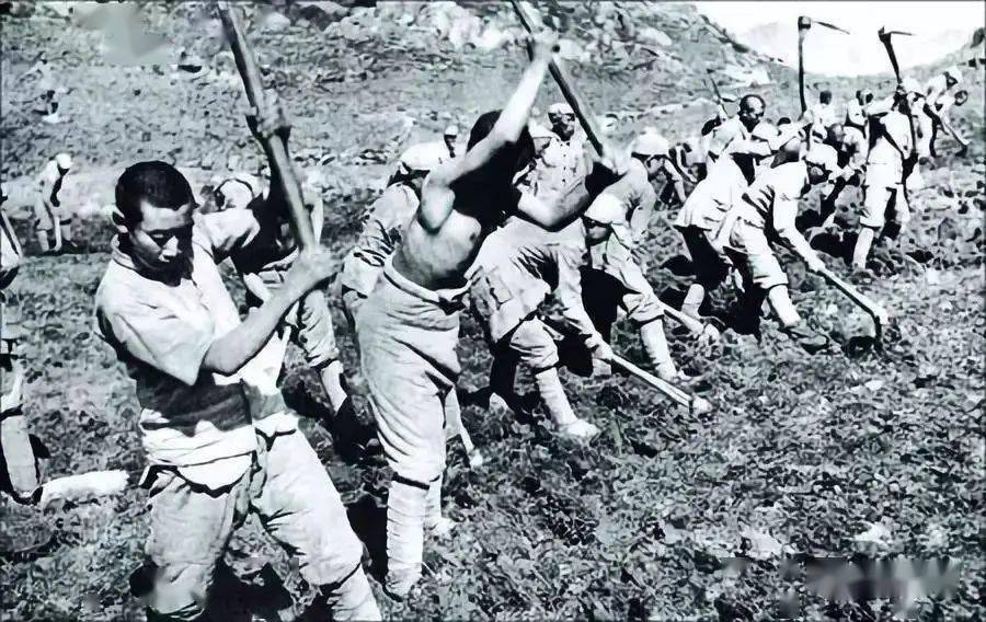 江小团讲党史 | 江中漫画版党史课第五弹——南泥湾开荒_八路军