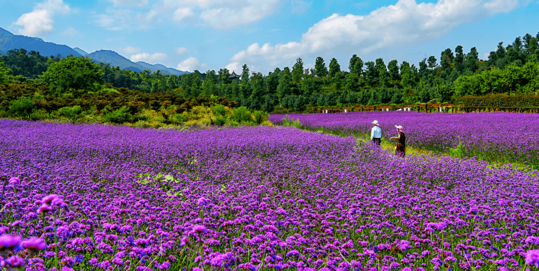 【预售】2021铜梁七彩梦园国际烟花节6月11日震撼开燃,39