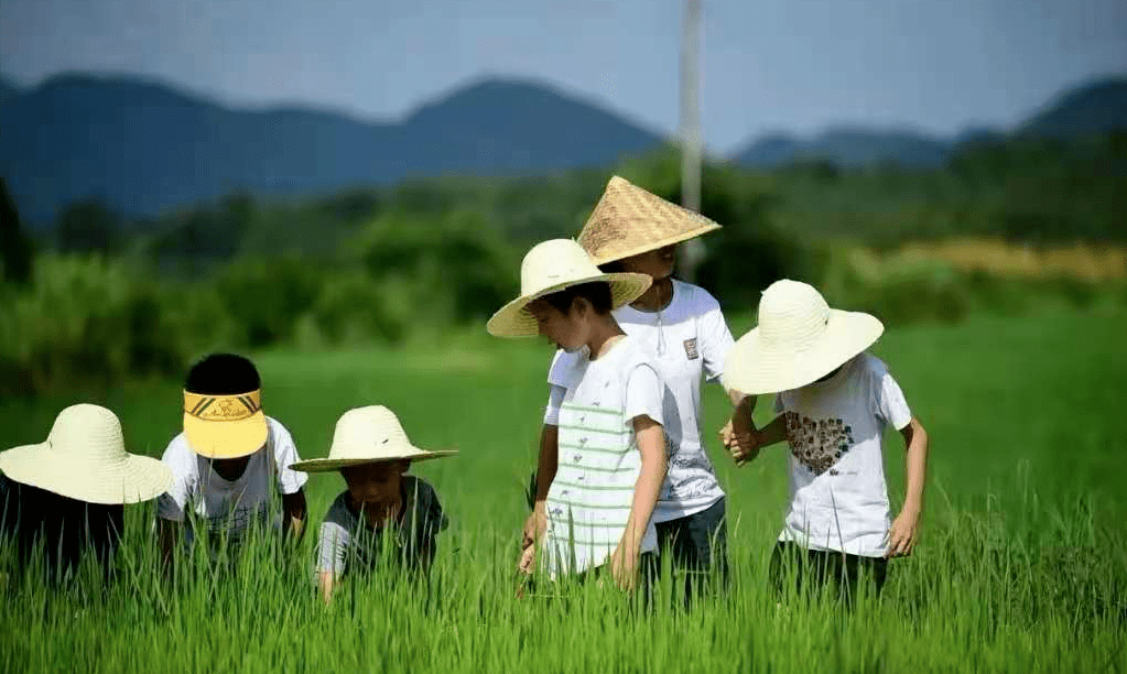 耕读文化营 | 在徽州田园播下家文化的种子