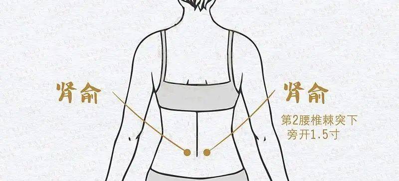 女腰部图片位置示意图图片