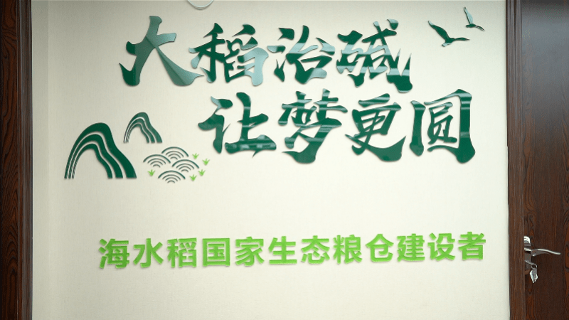 农业科技在深圳开花结果造海水稻护航国家生态粮仓