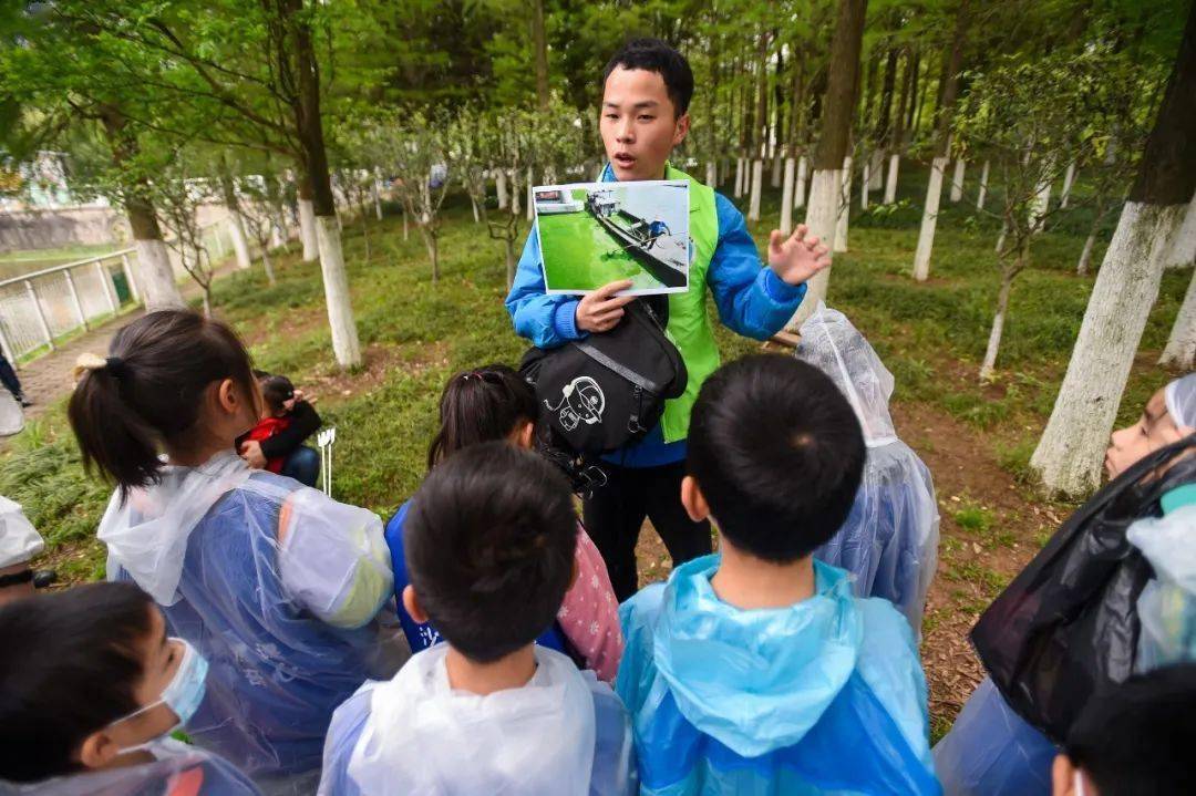 绿色营地作文（绿地野营作文400字）《绿色营地实践活动作文》