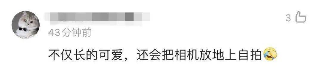 上自|厉害了！祝融号在火星上自拍，还有彩蛋