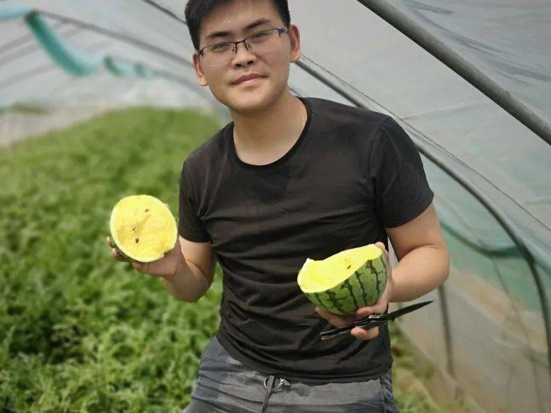 又甜又迷你的特小凤西瓜上市啦!皮薄肉多,一口清爽,鲜甜一夏