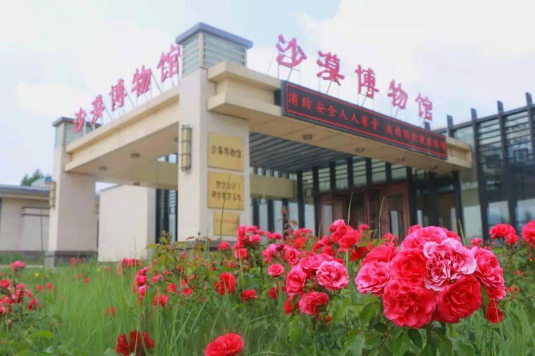 金沙岛旅游度假区位于腾格里沙漠的东南边缘,总占地面积22平方公里
