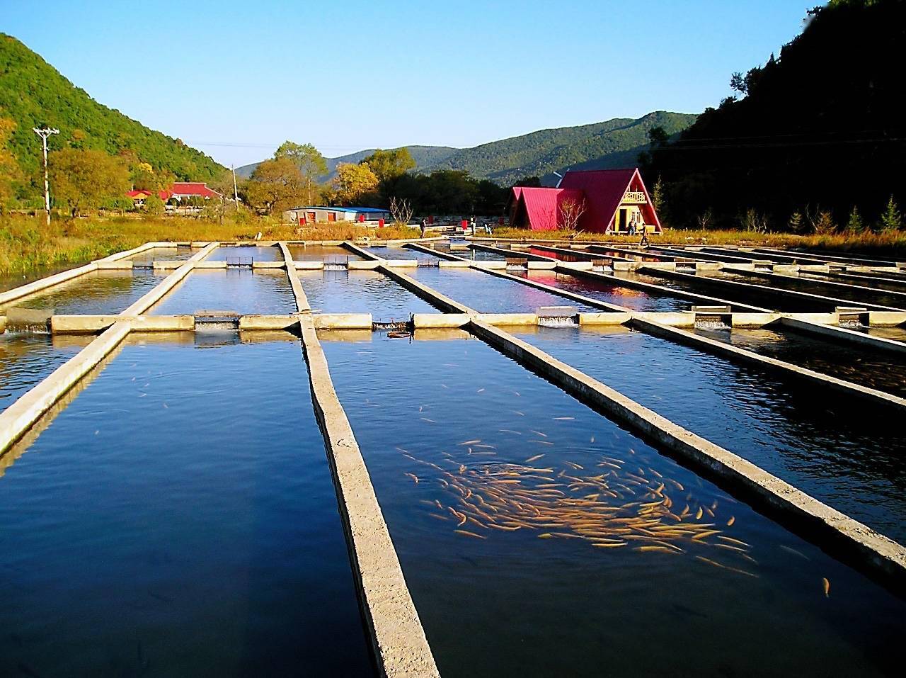 吉林省高位谋划,切实推进渔业高质量发展_养殖