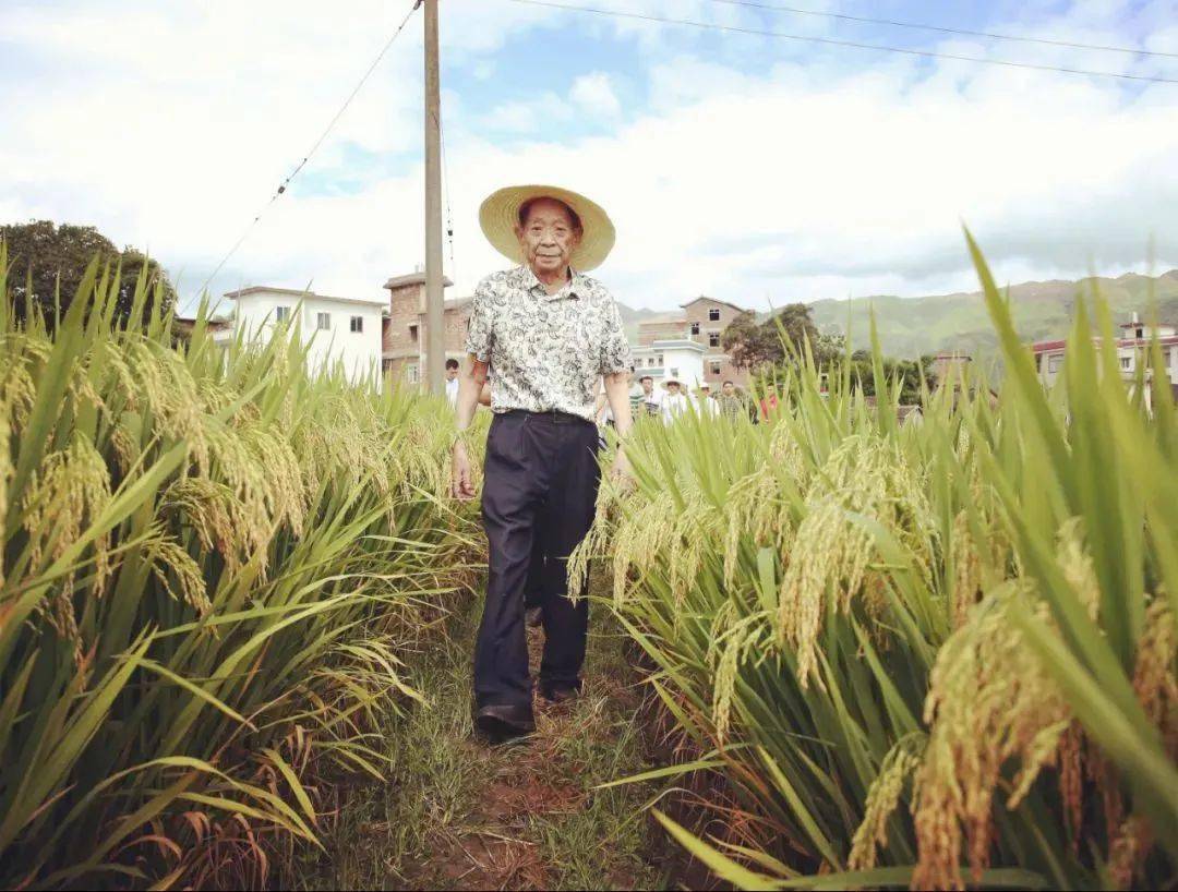 饥饿人口_大布局 中国在非洲疯狂圈地,掌握命脉, 灭绝大潮 中将屹立不倒(2)