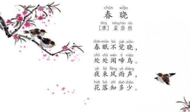 61cd6b5a6a4c4a3287e25b4f1c420cc2.jpeg