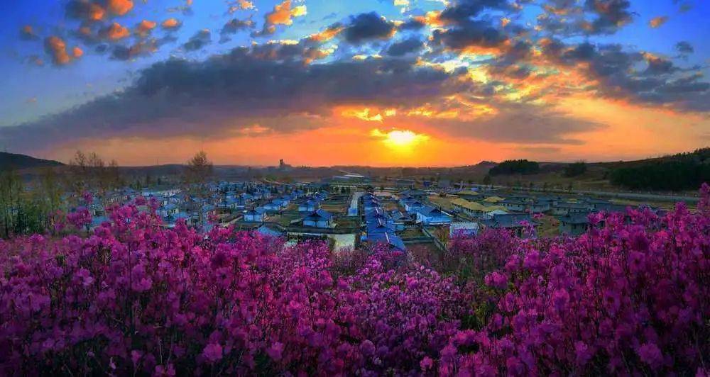 玩转端午乡约村光